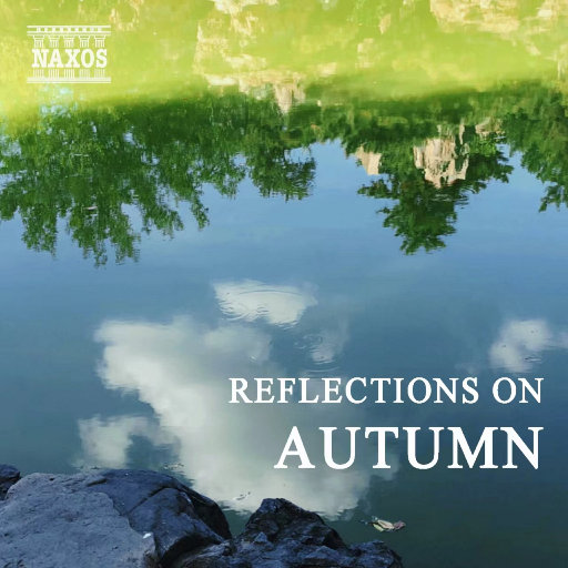 《遭遇触手怪》全集在线观看
